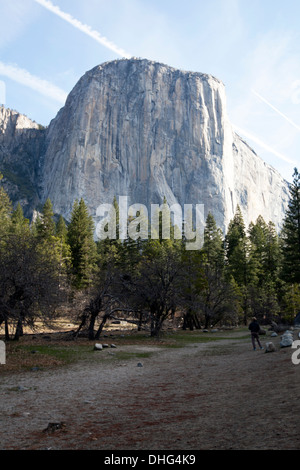 El Capitan, Yosemite National Park, Californie, États-Unis. Banque D'Images