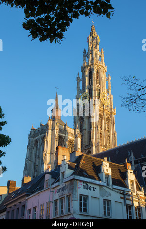 Anvers - tours de la cathédrale de Notre Dame dans la lumière du matin Banque D'Images