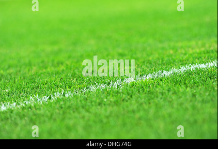 Close-up of a white stripe peint sur un nouveau terrain de football gazon Banque D'Images