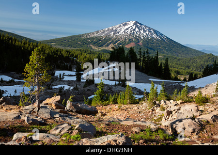 Mount Bachelor à partir d'une colline rocheuse près de deux chutes sur le sentier dans le haut cassé trois Sœurs région sauvage. Banque D'Images