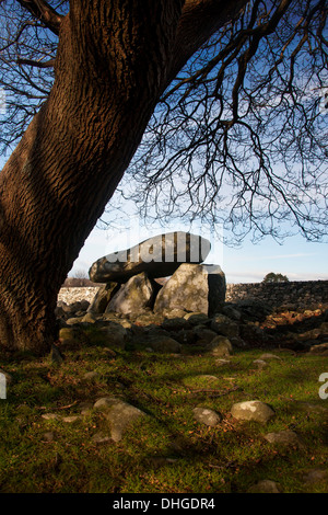 Yomitan chambre funéraire néolithique Gwynedd au nord du Pays de Galles UK Banque D'Images