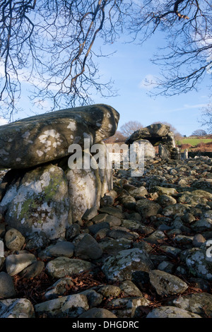 Yomitan chambres funéraires néolithiques Gwynedd au nord du Pays de Galles UK Banque D'Images