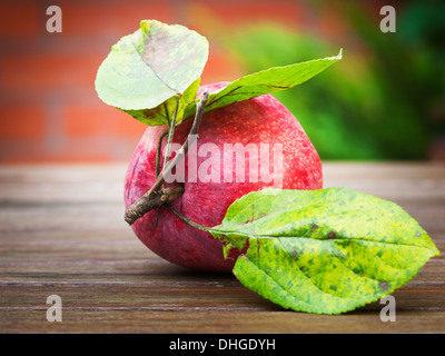 Red Apple sur table en bois à l'automne jardin contre un mur de briques Banque D'Images