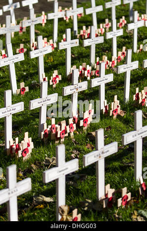 Rangées de croix ornée de coquelicots au Monument commémoratif de guerre de Douvres sur Rememberance dimanche. Chaque croix blanche représente une partie des forces armées. Banque D'Images