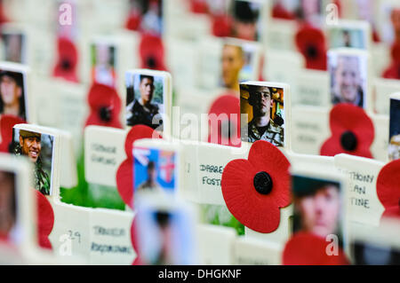 Belfast, Irlande du Nord. 10 Nov 2013 - croix de bois sont disposés dans le jardin du souvenir à Belfast pour commémorer les soldats tués dans l'exercice de leurs fonctions Banque D'Images