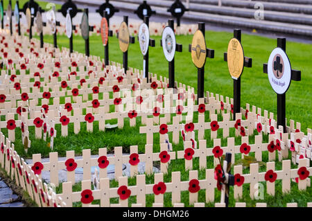 Belfast, Irlande du Nord. 10 Nov 2013 - croix de bois sont disposés dans le jardin du souvenir à Belfast pour commémorer les soldats tués dans l'exercice de leurs fonctions Banque D'Images