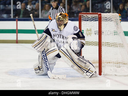 South Bend, Indiana, USA. Nov 8, 2013. 08 novembre 2013 : Notre Dame Steven Summerhays gardien (1) match de hockey NCAA au cours de l'action entre la Cathédrale Notre Dame Fighting Irish et les Minnesota Golden Gophers à Compton Famille Ice Arena à South Bend, Indiana. Notre Dame a battu Minnesota 4-1. © csm/Alamy Live News Banque D'Images