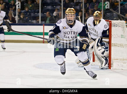 South Bend, Indiana, USA. Nov 8, 2013. 08 novembre 2013 : Notre Dame center David Gerths (10) match de hockey NCAA au cours de l'action entre la Cathédrale Notre Dame Fighting Irish et les Minnesota Golden Gophers à Compton Famille Ice Arena à South Bend, Indiana. Notre Dame a battu Minnesota 4-1. © csm/Alamy Live News Banque D'Images