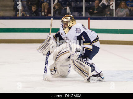 South Bend, Indiana, USA. Nov 8, 2013. 08 novembre 2013 : Notre Dame Steven Summerhays gardien (1) match de hockey NCAA au cours de l'action entre la Cathédrale Notre Dame Fighting Irish et les Minnesota Golden Gophers à Compton Famille Ice Arena à South Bend, Indiana. Notre Dame a battu Minnesota 4-1. © csm/Alamy Live News Banque D'Images