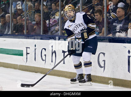 South Bend, Indiana, USA. Nov 8, 2013. 08 novembre 2013 : Notre Dame sur Robbie Russo (5) match de hockey NCAA au cours de l'action entre la Cathédrale Notre Dame Fighting Irish et les Minnesota Golden Gophers à Compton Famille Ice Arena à South Bend, Indiana. Notre Dame a battu Minnesota 4-1. © csm/Alamy Live News Banque D'Images