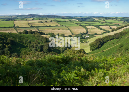 La campagne autour de patchwork dans l'ouest de l'Exmoor Somerset, Angleterre, Royaume-Uni Banque D'Images