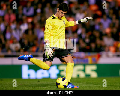 Valence, Espagne. 10 nov., 2013. Gardien Mario de Real Valladolid en action au cours de l'espagnol La Liga match entre Valence et Real Valladolid du stade Mestalla. Credit : Action Plus Sport/Alamy Live News Banque D'Images