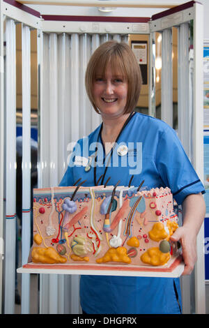 Modèle 3D médicalement précis de la peau à Dundee, Écosse, Royaume-Uni. Novembre 2013. Mme Susan Yule infirmière du NHS avec une coupe transversale 3D de la peau humaine, du derme montrant des micronoyaux, des couches multicouches, hautement différenciées, et la machine de traitement des patients UVB Ultra Violet UVB, laboratoires de recherche en génétique humaine de l'hôpital universitaire de Ninewells. Une célébration de l'anatomie, de la science médicale, de la biologie et de la curiosité pour tous les âges. Banque D'Images