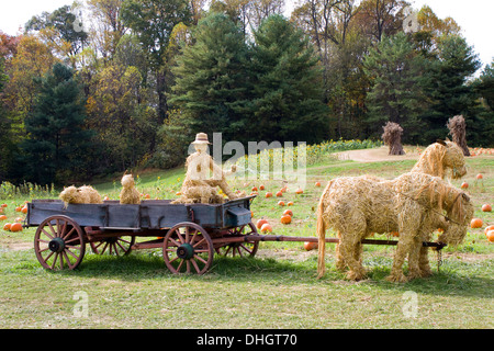 Chauffeur et les animaux en paille s'asseoir dans une vieille ferme wagon tiré par des chevaux de paille dans un champ de citrouilles. Banque D'Images