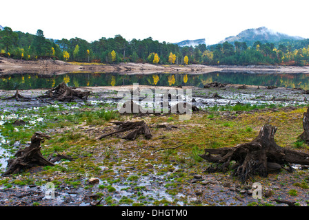 L'automne à Glen Affric, Inverness Shire, Ecosse Banque D'Images