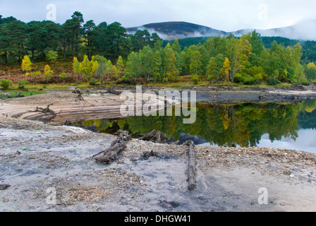 L'automne à Glen Affric, Inverness Shire, Ecosse Banque D'Images