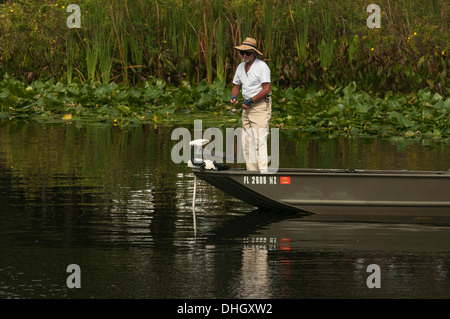 Close sur les haines Creek River dans le centre de la Floride USA Banque D'Images