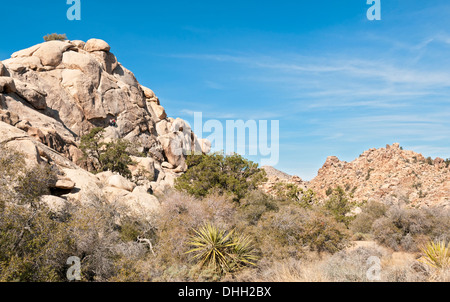 La Californie, Joshua Tree National Park, Hidden Valley Trail, des grimpeurs Banque D'Images