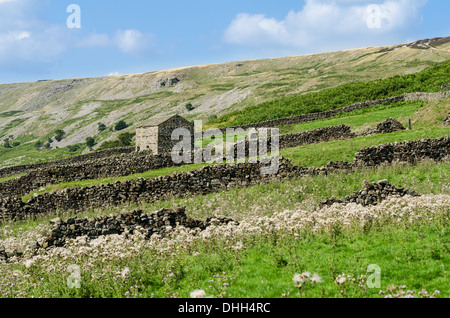 Une grange typique du Yorkshire et des murs de pierres sèches Banque D'Images