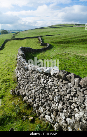 Un mur de pierres sèches à travers champs Banque D'Images