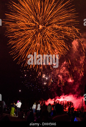 Foule de gens à l'écoute d'artifice, la fête du Canada, Toronto, Ontario, Canada Banque D'Images