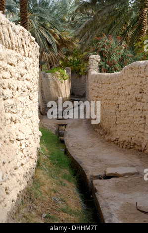 Canal d'irrigation dans une ruelle, oasis de Ghadamès, ville du patrimoine mondial de l'UNESCO, Ghadamès, Libye Banque D'Images