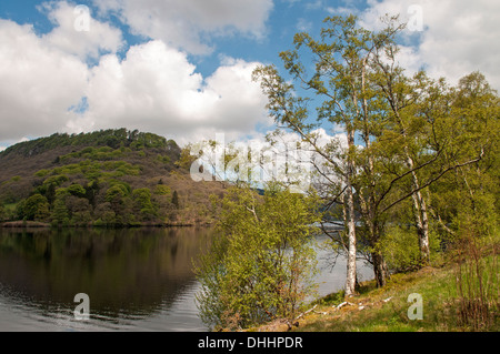 Garreg Réservoir Ddu bordés d'arbres, y compris l'argent dans la vallée de bouleau Elan Mid Wales Banque D'Images