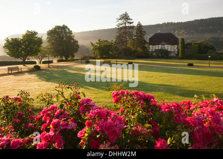 Roses dans les jardins du château, Haemelschenburg Emmerthal, Weser Hills au nord, Basse-Saxe, Allemagne, Europe