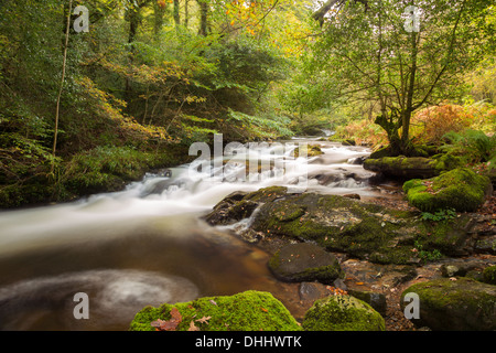 L'automne dans l'Est, la vallée Okement Dartmoor National Park Devon Uk Banque D'Images