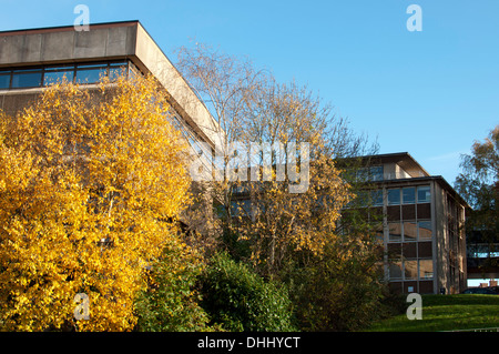 Les bureaux du conseil de comté de Warwickshire en automne, Warwick, Royaume-Uni Banque D'Images