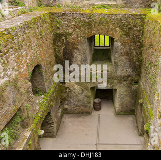 Le château de Blarney ou Blarnan na Caislean, comté de Cork, Irlande ou Eire Banque D'Images