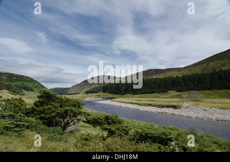 Paysage de rivière avec Juniper en premier plan Banque D'Images