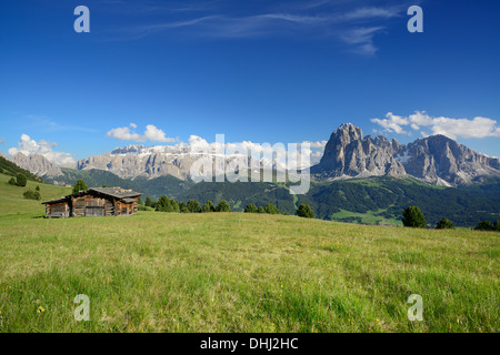 Prairie avec ferme en face de Sella et Langkofel, Val Gardena, Dolomites, site du patrimoine mondial de l'UNESCO, Dolomites Tyrol du Sud Banque D'Images