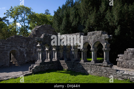 Dans le cloître du xiie siècle augustinienne Abbaye de Cong, Cong, dans le comté de Mayo, Irlande Banque D'Images