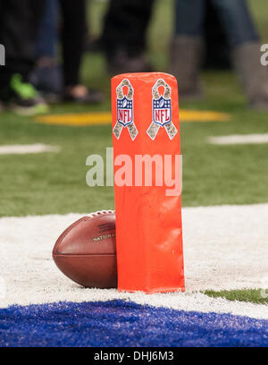 Indianapolis, IN, USA. 10 nov., 2013. 10 novembre 2013 : la NFL célèbre le salut militaire avec service à jour au cours de la NFL match entre la Saint Louis Rams et les Indianapolis Colts au Lucas Oil Stadium à Indianapolis, IN. Les Saint Louis Rams défait les Indianapolis Colts 38-8. © csm/Alamy Live News Banque D'Images