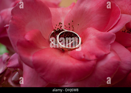 Les anneaux de mariage flower leaf texture bois deux pétales brun nature rouge passion naturelle des couleurs claires symbole cercle rond coloré Banque D'Images