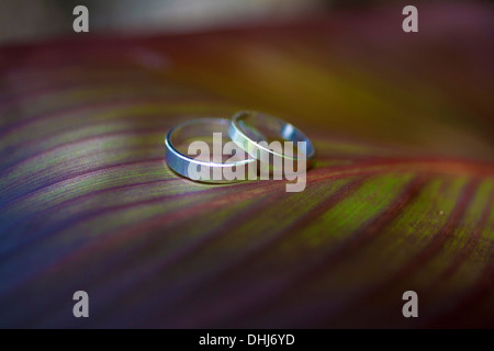 Les anneaux de mariage flower leaf texture bois deux pétales brun nature rouge passion naturelle des couleurs claires symbole cercle rond coloré Banque D'Images