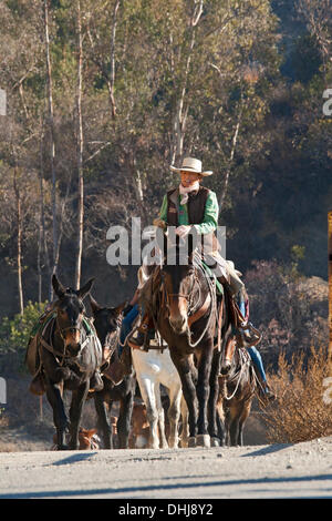 Glendale, Californie, USA. 11Th Nov, 2013. Lauren Bon menant un train mule Journée des anciens combattants de parade à Laval, Québec c'est la dernière étape d'une action de l'artiste appelé 'une centaine de mules à l'Aqueduc de Los Angeles", qui était un mois long, 240 km de route de Owens Valley à Los Angeles qui commémore les 100 ans de l'ouverture de l'Aqueduc de Los Angeles. Credit : Température Images Inc./Alamy Live News Banque D'Images