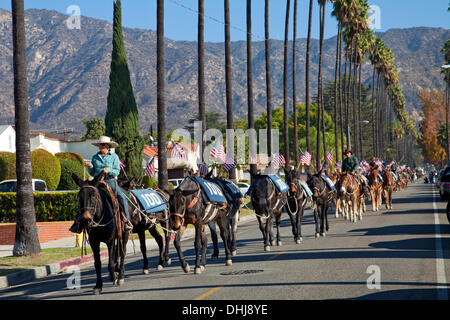 Glendale, Californie, USA. 11Th Nov, 2013. Une Journée des anciens combattants de la mule parade à Laval, Québec c'est la dernière étape d'une action de l'artiste appelé 'une centaine de mules à l'Aqueduc de Los Angeles", qui était un mois long, 240 km de route de Owens Valley à Los Angeles qui commémore les 100 ans de l'ouverture de l'Aqueduc de Los Angeles. Credit : Température Images Inc./Alamy Live News Banque D'Images