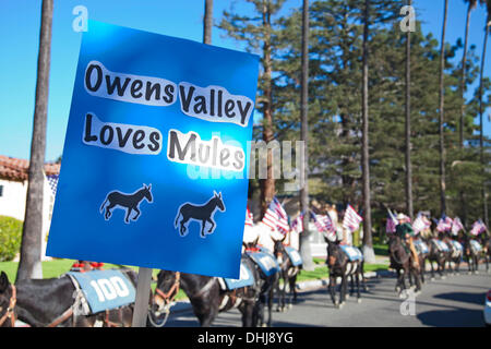 Glendale, Californie, USA. 11Th Nov, 2013. Une Journée des anciens combattants de la mule parade à Laval, Québec c'est la dernière étape d'une action de l'artiste appelé 'une centaine de mules à l'Aqueduc de Los Angeles", qui était un mois long, 240 km de route de Owens Valley à Los Angeles qui commémore les 100 ans de l'ouverture de l'Aqueduc de Los Angeles. Credit : Température Images Inc./Alamy Live News Banque D'Images