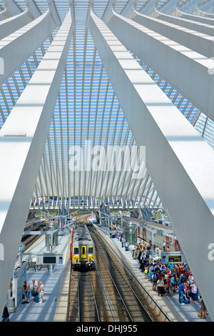 Vue aérienne des transports publics vue du dessus regardant vers le bas entre les poutres au train de voyageurs de Belgique et la gare de Liège les gens attendent sous le toit de verre Banque D'Images