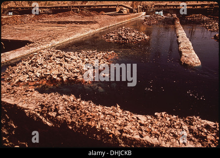 L'usine de fusion de cuivre illustrée ici traite le minerai par lixiviation du fer à partir du cuivre, une étape clé dans l'affinage du cuivre à usage industriel. La séparation du fer assure la pureté du produit de cuivre final. Banque D'Images