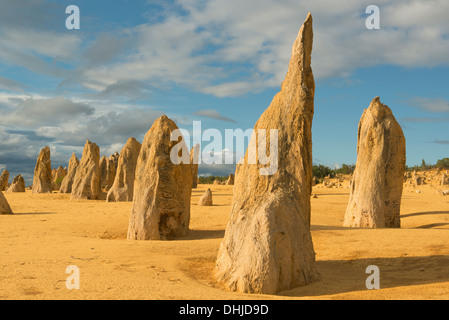 Le Parc National de Nambung, Pinnacles, Australie occidentale Banque D'Images