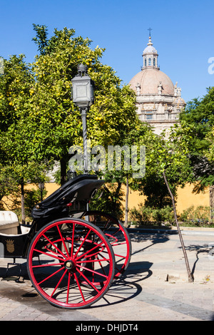 Chariot Buggy à côté de la cathédrale de San Salvador. Jerez de la Frontera, province de Cadiz, Andalousie, Espagne Banque D'Images