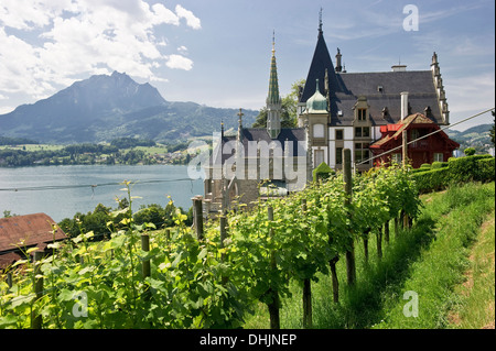 Château de Meggenhorn avec le Mont Pilate dans l'arrière-plan, le lac de Lucerne, dans le canton de Lucerne, Suisse, Europe Banque D'Images