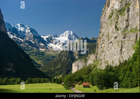 Prairie ensoleillée à vallée de Lauterbrunnen, canton de Berne, Suisse, Europe Banque D'Images