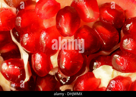 Graines de grenade close-up Banque D'Images