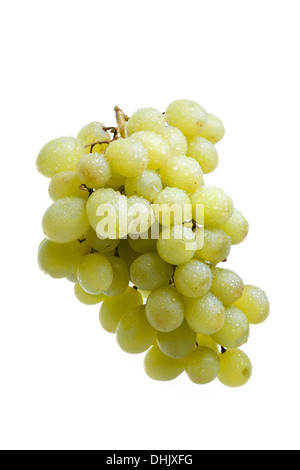 Grappe de raisin dans de l'eau gouttes Banque D'Images