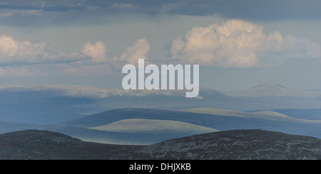 Vue de l'Elgahogna Femundsmarka, NP, Norvège Banque D'Images