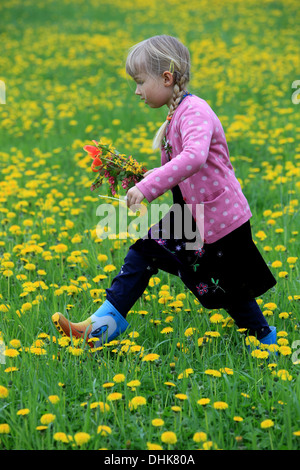 Une petite fille sur le champ de pissenlits, République Tchèque, Europe Banque D'Images